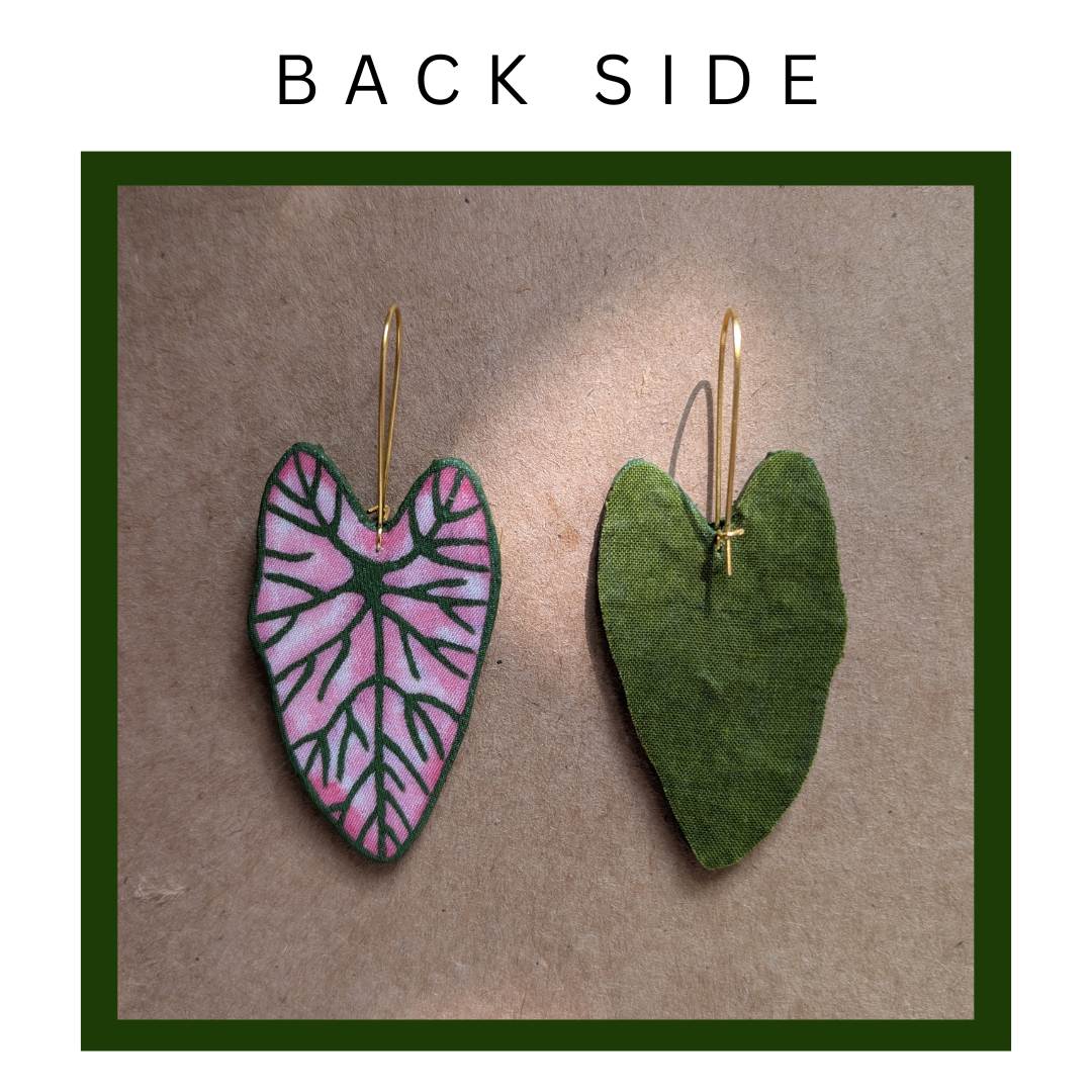 Caladium Leaf