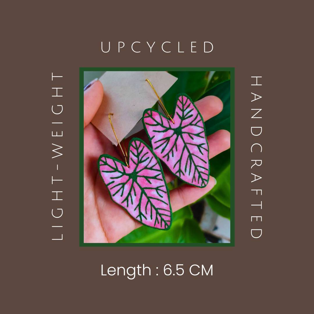 Caladium Leaf